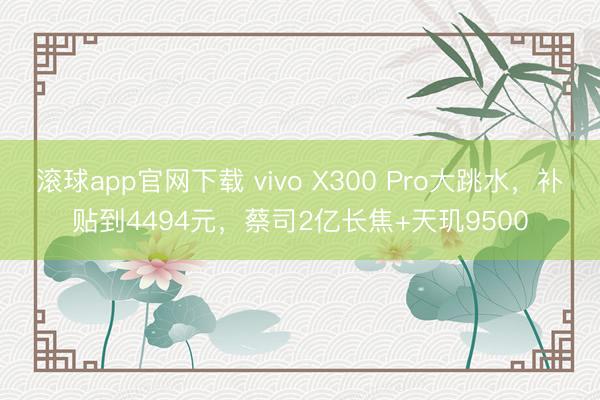 滚球app官网下载 vivo X300 Pro大跳水,补贴到4494元,蔡司2亿长焦+天玑9500