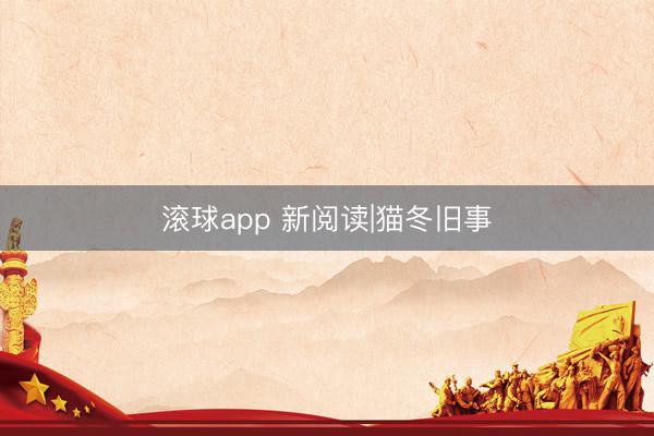 滚球app 新阅读|猫冬旧事