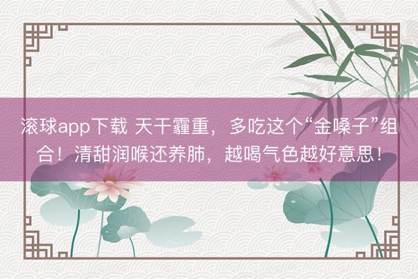滚球app下载 天干霾重,多吃这个“金嗓子”组合!清甜润喉还养肺,越喝气色越好意思!