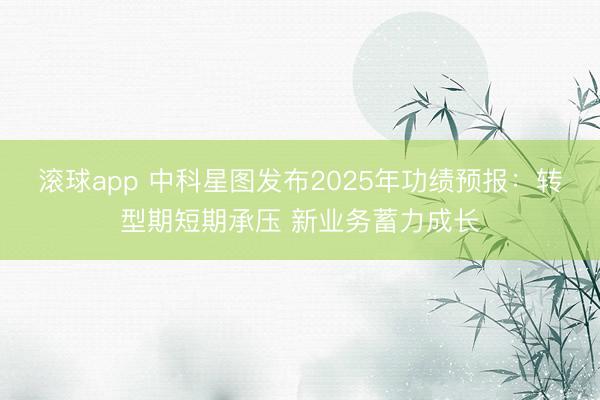 滚球app 中科星图发布2025年功绩预报：转型期短期承压 新业务蓄力成长