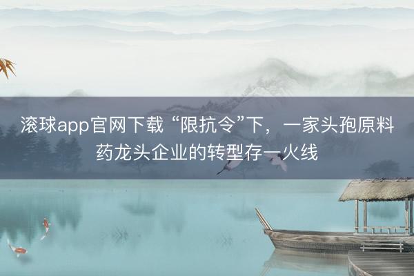 滚球app官网下载 “限抗令”下，一家头孢原料药龙头企业的转型存一火线