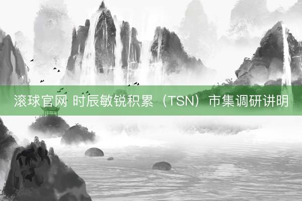 滚球官网 时辰敏锐积累（TSN）市集调研讲明