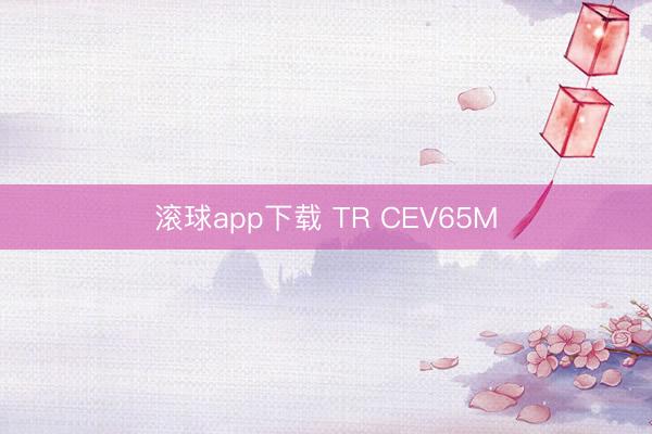 滚球app下载 TR CEV65M