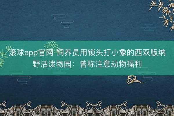 滚球app官网 饲养员用锁头打小象的西双版纳野活泼物园：曾称注意动物福利