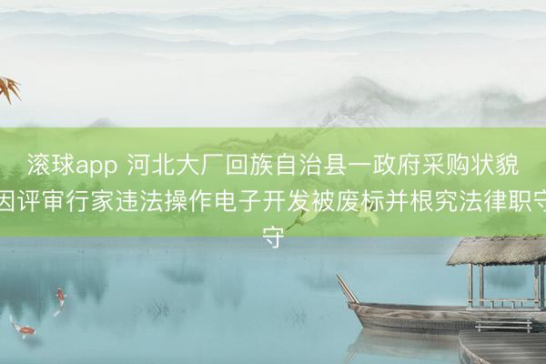滚球app 河北大厂回族自治县一政府采购状貌因评审行家违法操作电子开发被废标并根究法律职守
