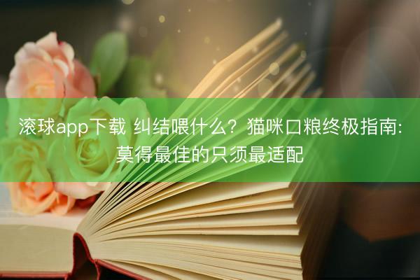 滚球app下载 纠结喂什么？猫咪口粮终极指南:莫得最佳的只须最适配