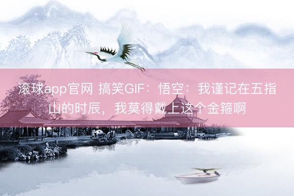 滚球app官网 搞笑GIF：悟空：我谨记在五指山的时辰，我莫得戴上这个金箍啊