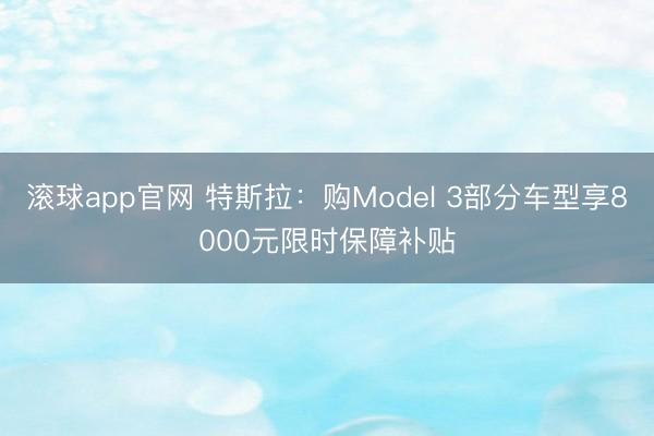 滚球app官网 特斯拉：购Model 3部分车型享8000元限时保障补贴