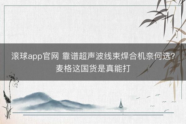 滚球app官网 靠谱超声波线束焊合机奈何选？麦格这国货是真能打
