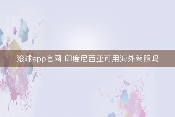 滚球app官网 印度尼西亚可用海外驾照吗