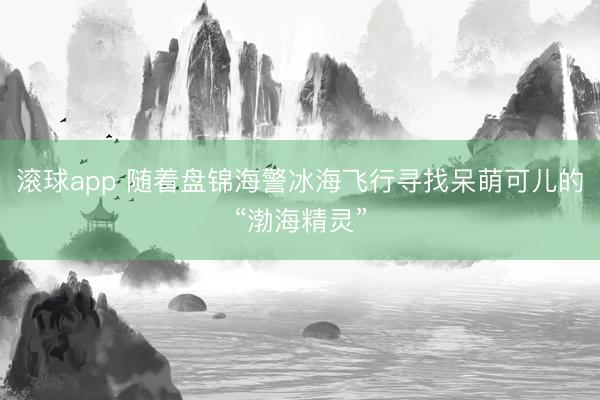 滚球app 随着盘锦海警冰海飞行寻找呆萌可儿的“渤海精灵”