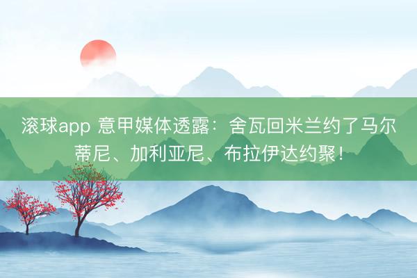 滚球app 意甲媒体透露：舍瓦回米兰约了马尔蒂尼、加利亚尼、布拉伊达约聚！