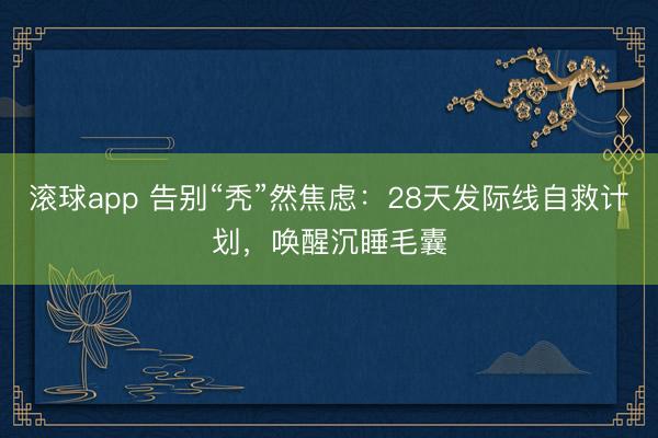 滚球app 告别“秃”然焦虑：28天发际线自救计划，唤醒沉睡毛囊