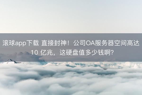 滚球app下载 直接封神！公司OA服务器空间高达 10 亿兆，这硬盘值多少钱啊？