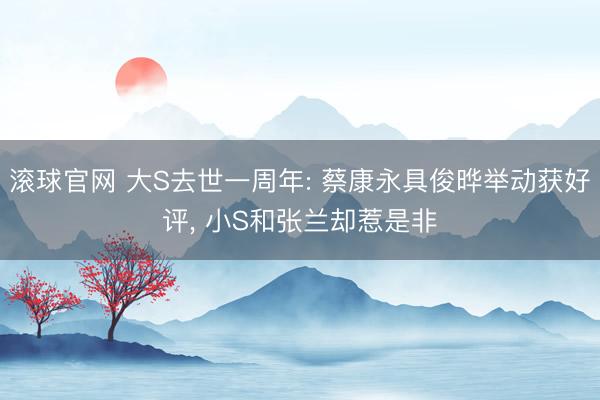 滚球官网 大S去世一周年: 蔡康永具俊晔举动获好评， 小S和张兰却惹是非