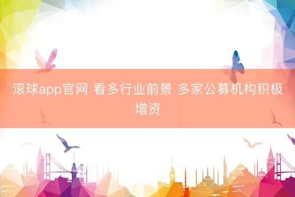 滚球app官网 看多行业前景 多家公募机构积极增资