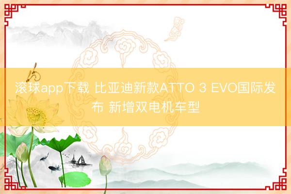 滚球app下载 比亚迪新款ATTO 3 EVO国际发布 新增双电机车型