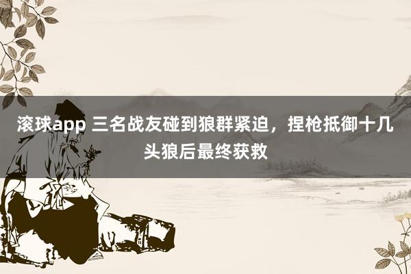 滚球app 三名战友碰到狼群紧迫，捏枪抵御十几头狼后最终获救