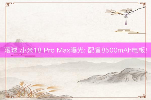 滚球 小米18 Pro Max曝光: 配备8500mAh电板!
