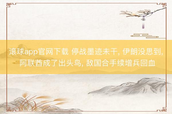滚球app官网下载 停战墨迹未干， 伊朗没思到， 阿联酋成了出头鸟， 敌国合手续增兵回血
