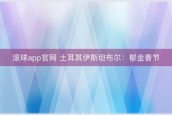 滚球app官网 土耳其伊斯坦布尔：郁金香节