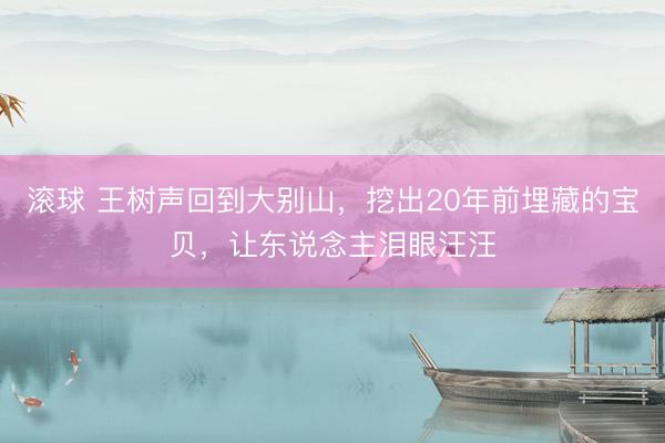 滚球 王树声回到大别山，挖出20年前埋藏的宝贝，让东说念主泪眼汪汪