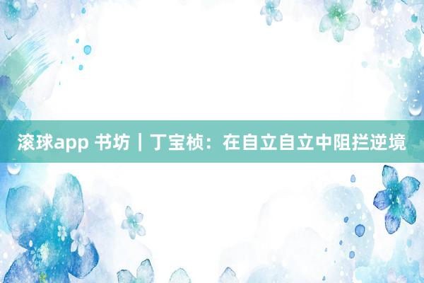 滚球app 书坊｜丁宝桢：在自立自立中阻拦逆境