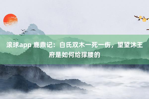 滚球app 鹿鼎记：白氏双木一死一伤，望望沐王府是如何给撑腰的