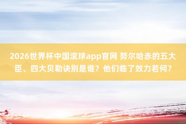 2026世界杯中国滚球app官网 努尔哈赤的五大臣、四大贝勒诀别是谁？他们临了效力若何？