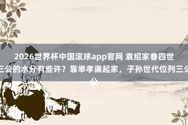 2026世界杯中国滚球app官网 袁绍家眷四世三公的水分有些许？靠举孝廉起家，子孙世代位列三公