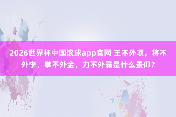 2026世界杯中国滚球app官网 王不外项，将不外李，拳不外金，力不外霸是什么景仰？