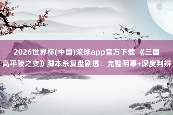 2026世界杯(中国)滚球app官方下载 《三国高平陵之变》脚本杀复盘剧透：完整阴事+深度判辨