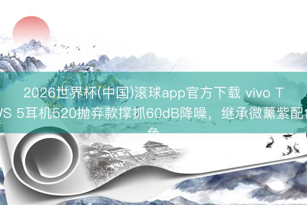 2026世界杯(中国)滚球app官方下载 vivo TWS 5耳机520抛弃款撑抓60dB降噪，继承微薰紫配色