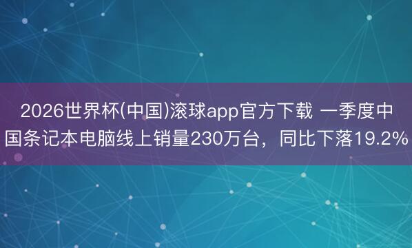 2026世界杯(中国)滚球app官方下载 一季度中国条记本电脑线上销量230万台,同比下落19.2%
