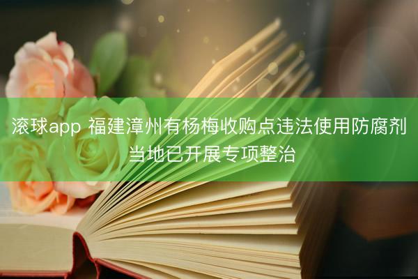 滚球app 福建漳州有杨梅收购点违法使用防腐剂 当地已开展专项整治