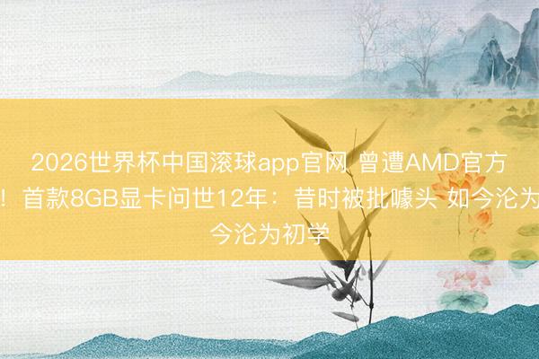 2026世界杯中国滚球app官网 曾遭AMD官方毒害！首款8GB显卡问世12年：昔时被批噱头 如今沦为初学