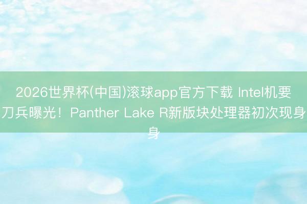2026世界杯(中国)滚球app官方下载 Intel机要刀兵曝光！Panther Lake R新版块处理器初次现身