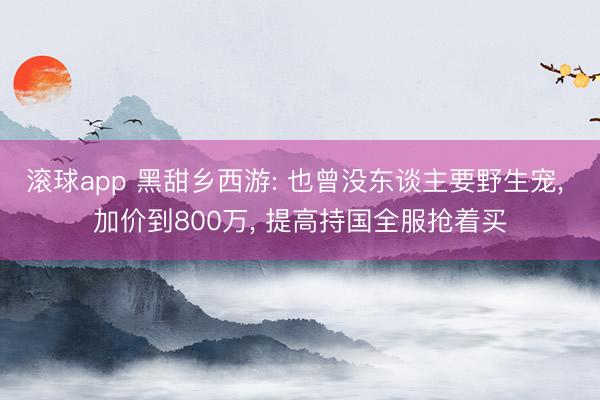 滚球app 黑甜乡西游: 也曾没东谈主要野生宠， 加价到800万， 提高持国全服抢着买