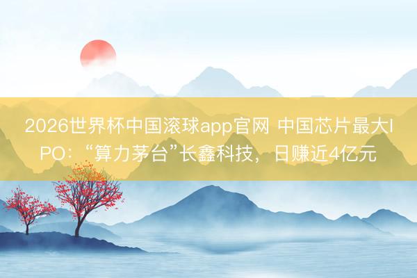 2026世界杯中国滚球app官网 中国芯片最大IPO：“算力茅台”长鑫科技，日赚近4亿元