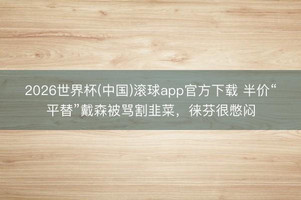 2026世界杯(中国)滚球app官方下载 半价“平替”戴森被骂割韭菜，徕芬很憋闷
