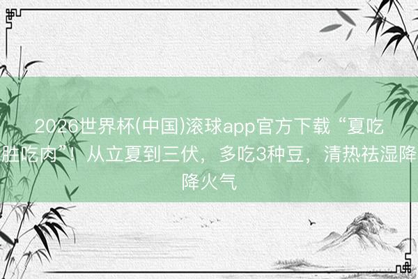 2026世界杯(中国)滚球app官方下载 “夏吃豆，胜吃肉”！从立夏到三伏，多吃3种豆，清热祛湿降火气