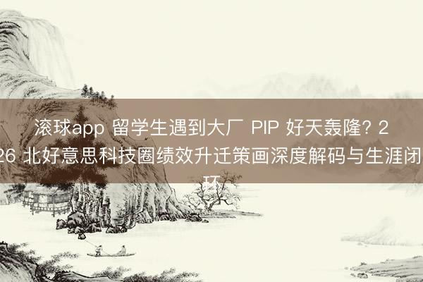 滚球app 留学生遇到大厂 PIP 好天轰隆? 2026 北好意思科技圈绩效升迁策画深度解码与生涯闭环