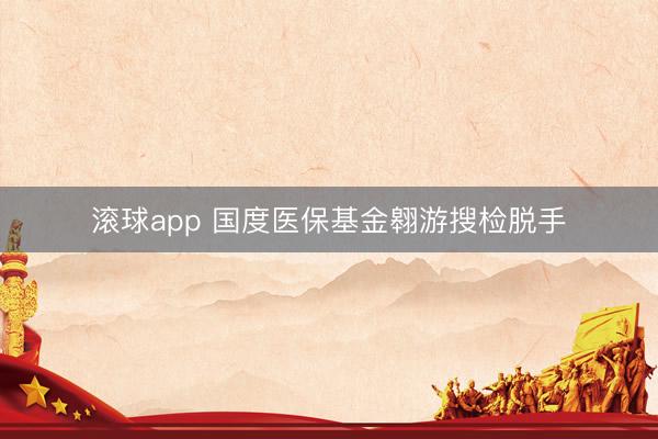 滚球app 国度医保基金翱游搜检脱手