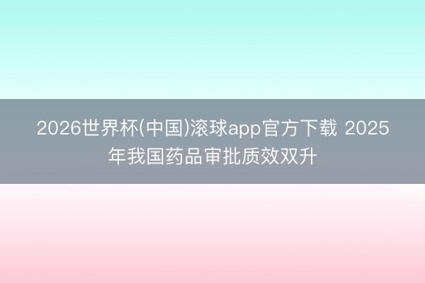 2026世界杯(中国)滚球app官方下载 2025年我国药品审批质效双升