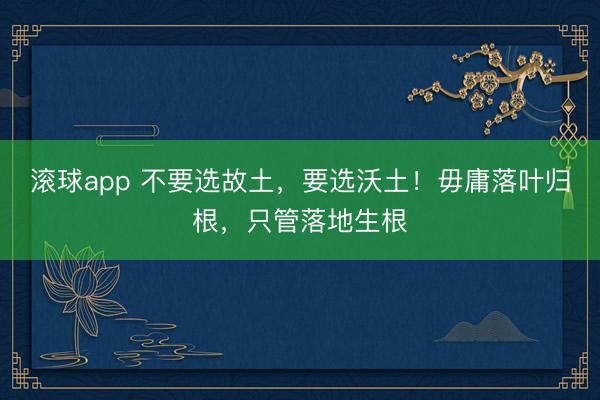滚球app 不要选故土，要选沃土！毋庸落叶归根，只管落地生根