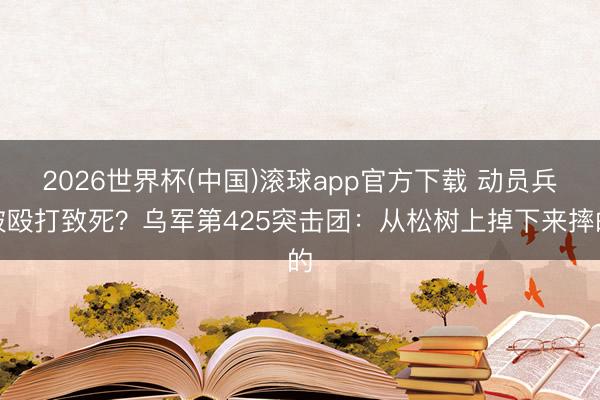 2026世界杯(中国)滚球app官方下载 动员兵被殴打致死？乌军第425突击团：从松树上掉下来摔的
