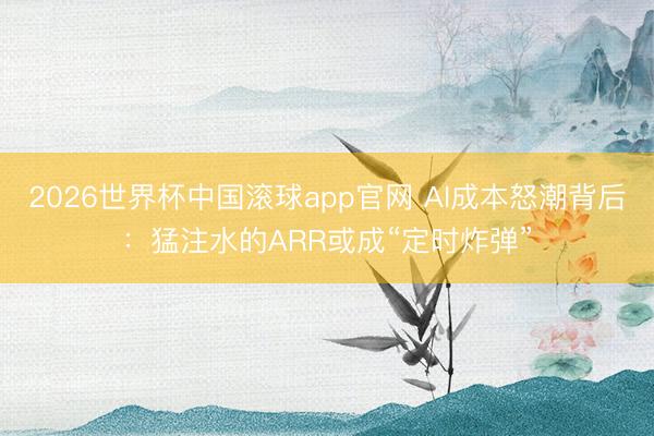 2026世界杯中国滚球app官网 AI成本怒潮背后：猛注水的ARR或成“定时炸弹”