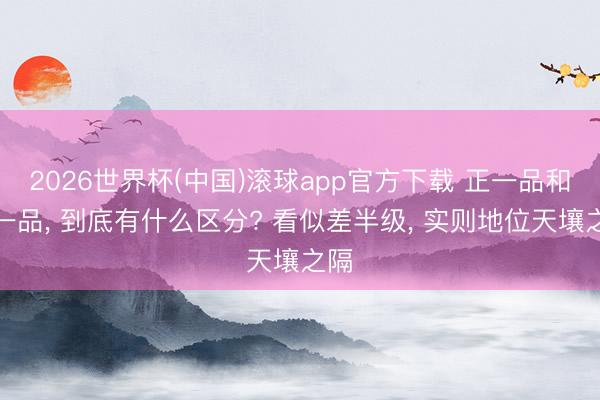 2026世界杯(中国)滚球app官方下载 正一品和从一品， 到底有什么区分? 看似差半级， 实则地位天壤之隔