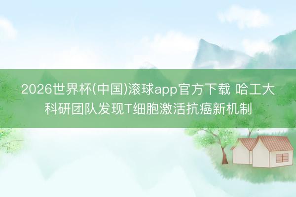 2026世界杯(中国)滚球app官方下载 哈工大科研团队发现T细胞激活抗癌新机制