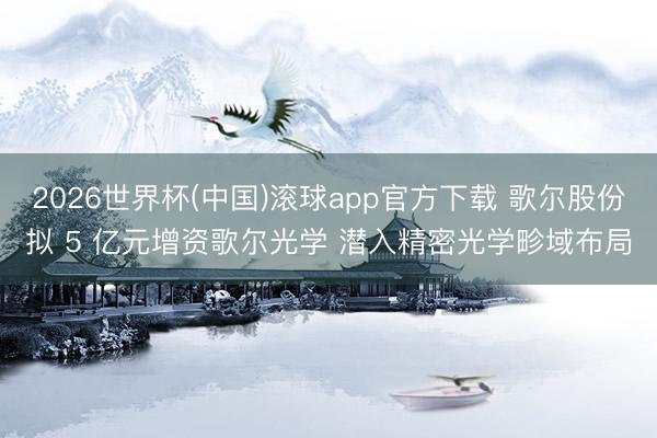 2026世界杯(中国)滚球app官方下载 歌尔股份拟 5 亿元增资歌尔光学 潜入精密光学畛域布局